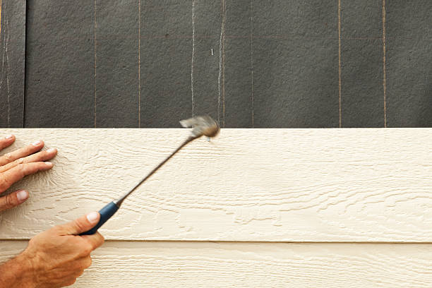 Best Custom Siding Design  in Slater, IA